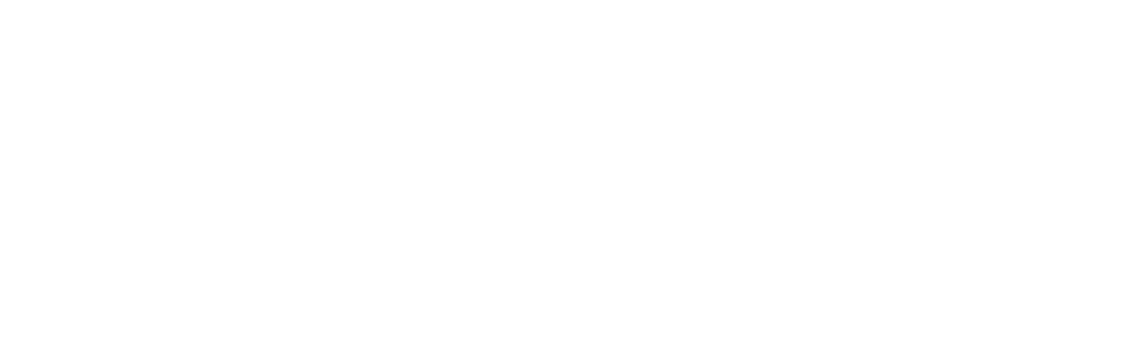 domain.id — 20 tahun